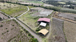 dji 20240522113839 d