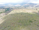 dji dji