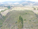 dji dji