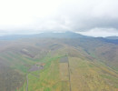 dji dji