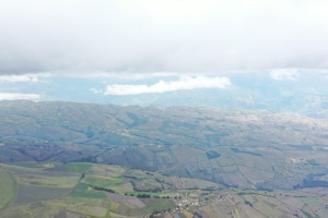 dji dji