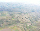 dji dji