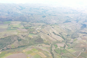 dji dji