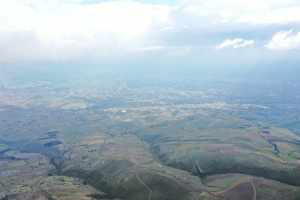 dji dji