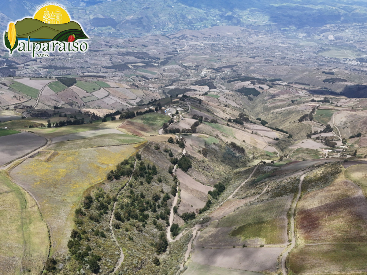 dji 20240802125255 d dji 20240802125255 d