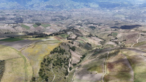 dji 20240802125255 d dji 20240802125255 d