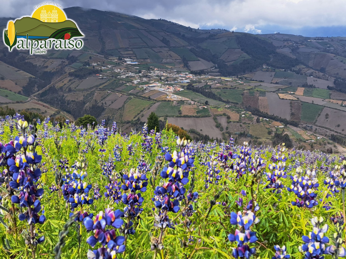 imagen de whatsapp 2024 08 05 a las 09.27.47e0 imagen de whatsapp 2024 08 05 a las 09.27.47e0