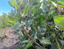img wa0057 img wa0057