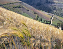 img wa0104 img wa0104