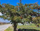 img wa0156 img wa0156