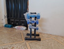img wa0119 img wa0119